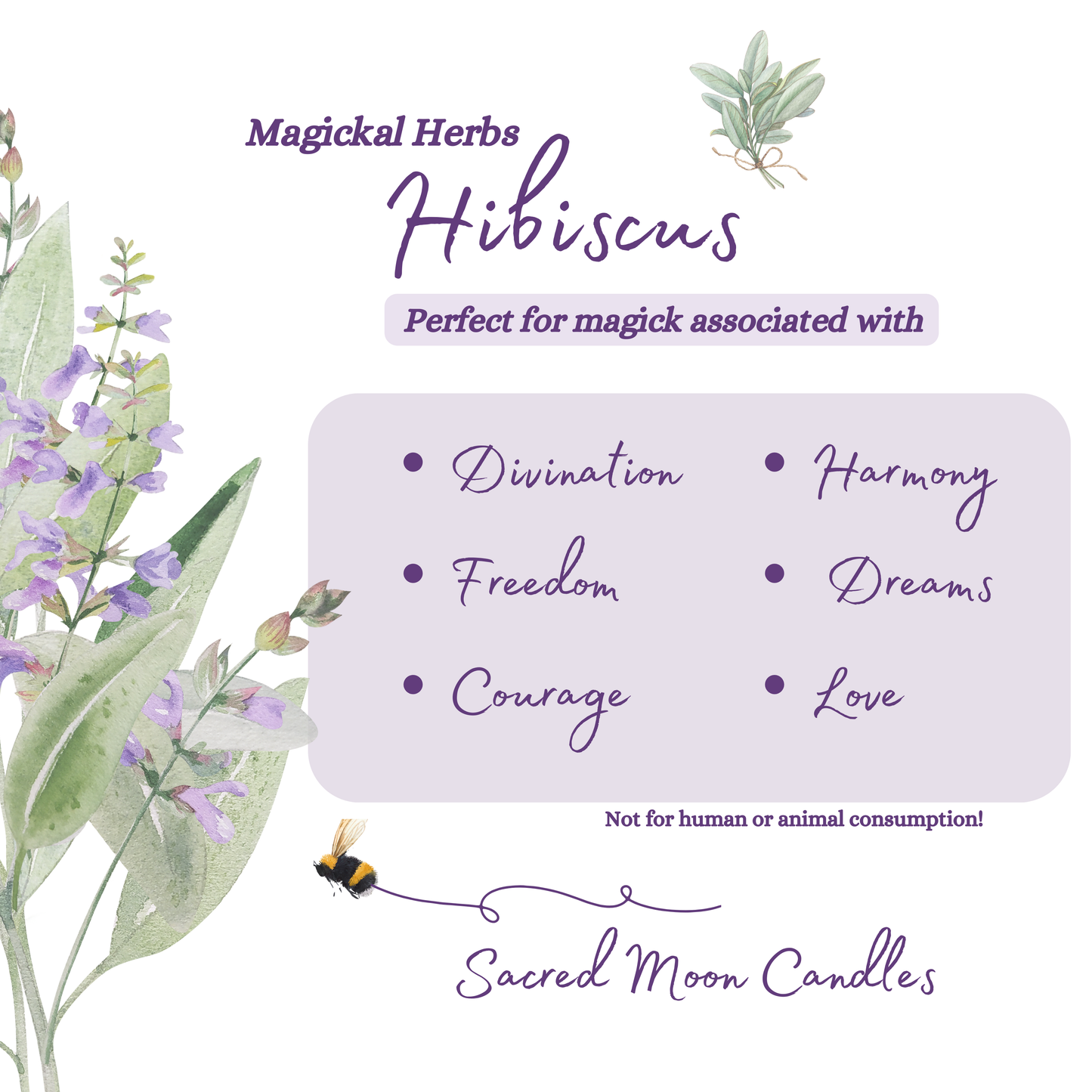 hibiscus perfect for witchcraft divination rituals and spiritual well-being supplies.