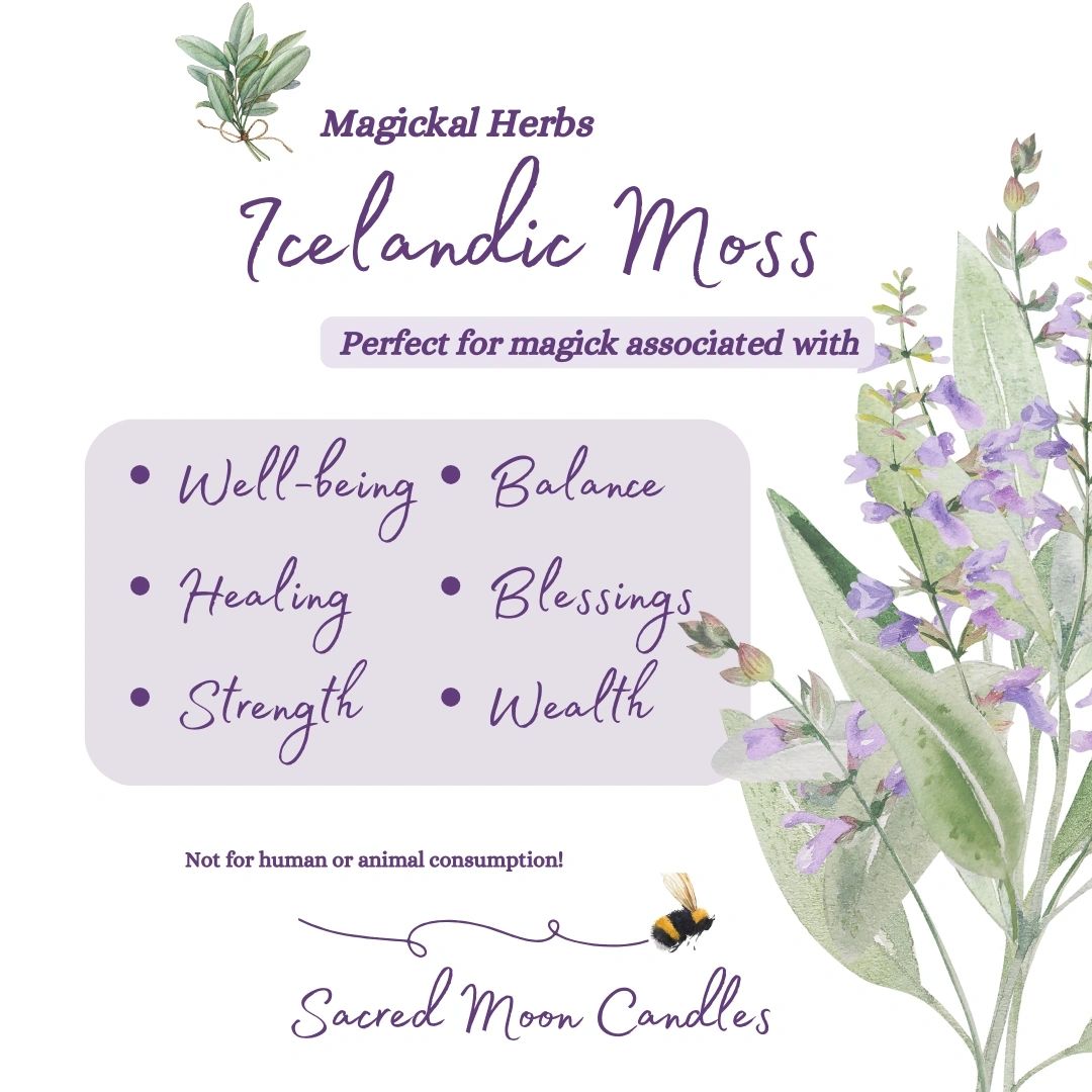 Icelandic Moss perfect for witchcraft healing rituals and spiritual well-being supplies.