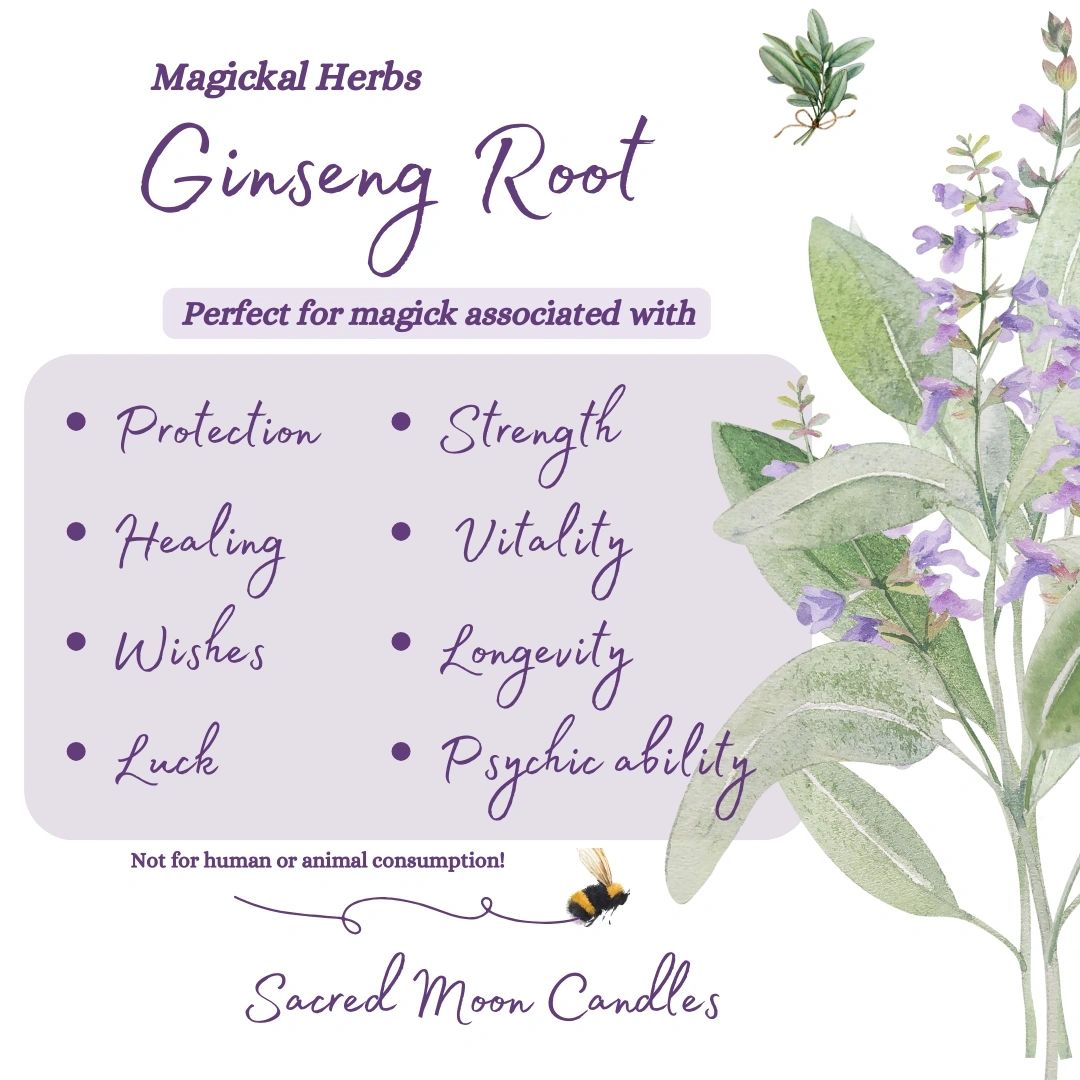 Ginseng Root perfect for witchcraft healing rituals and spiritual well-being supplies.
