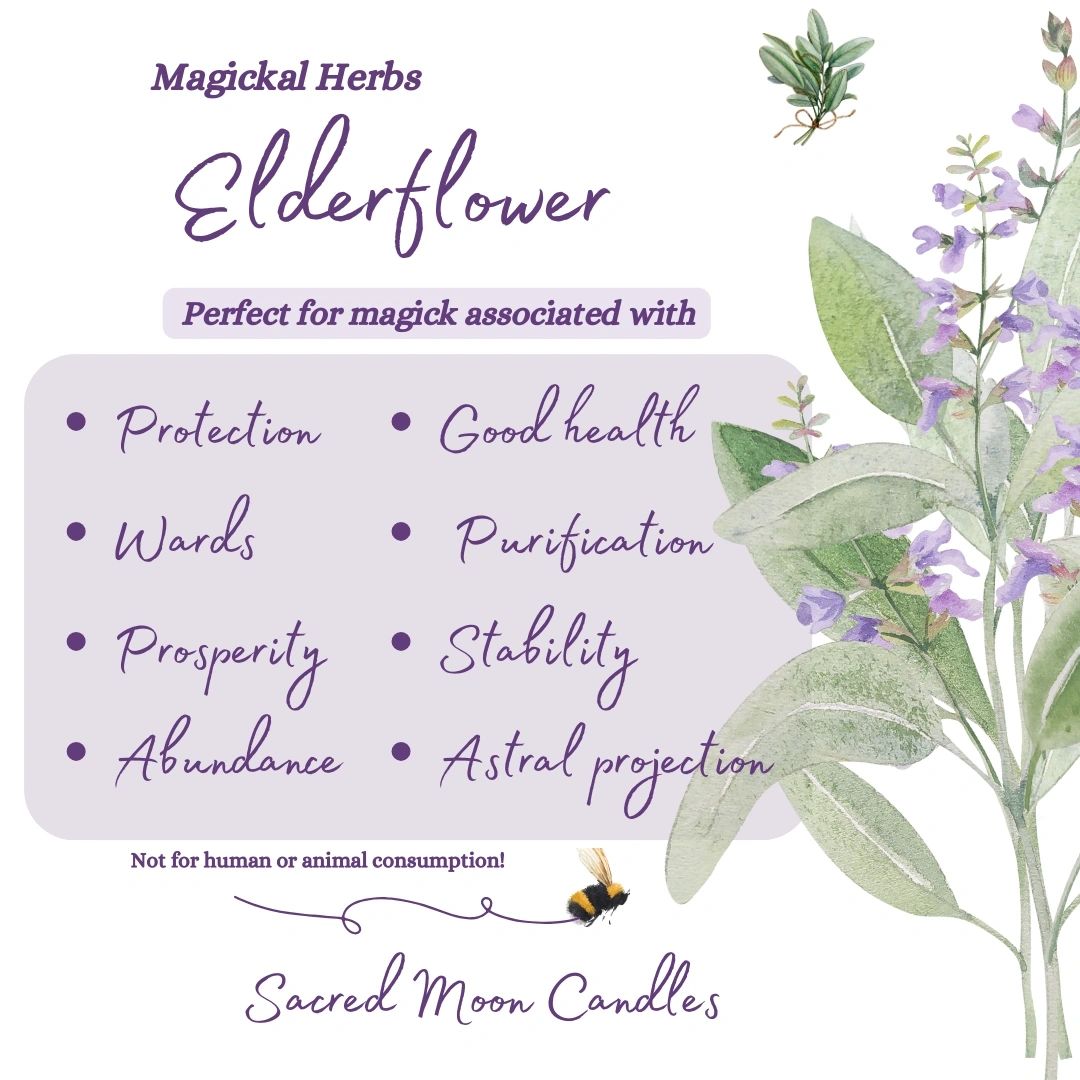 Elderflower Herb perfect for witchcraft prosperity and abundance rituals. Spiritual well-being supplies.