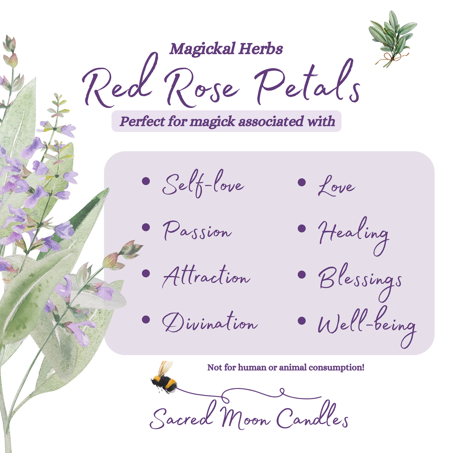 Red Rose Petals perfect for witchcraft passion rituals and spiritual well-being