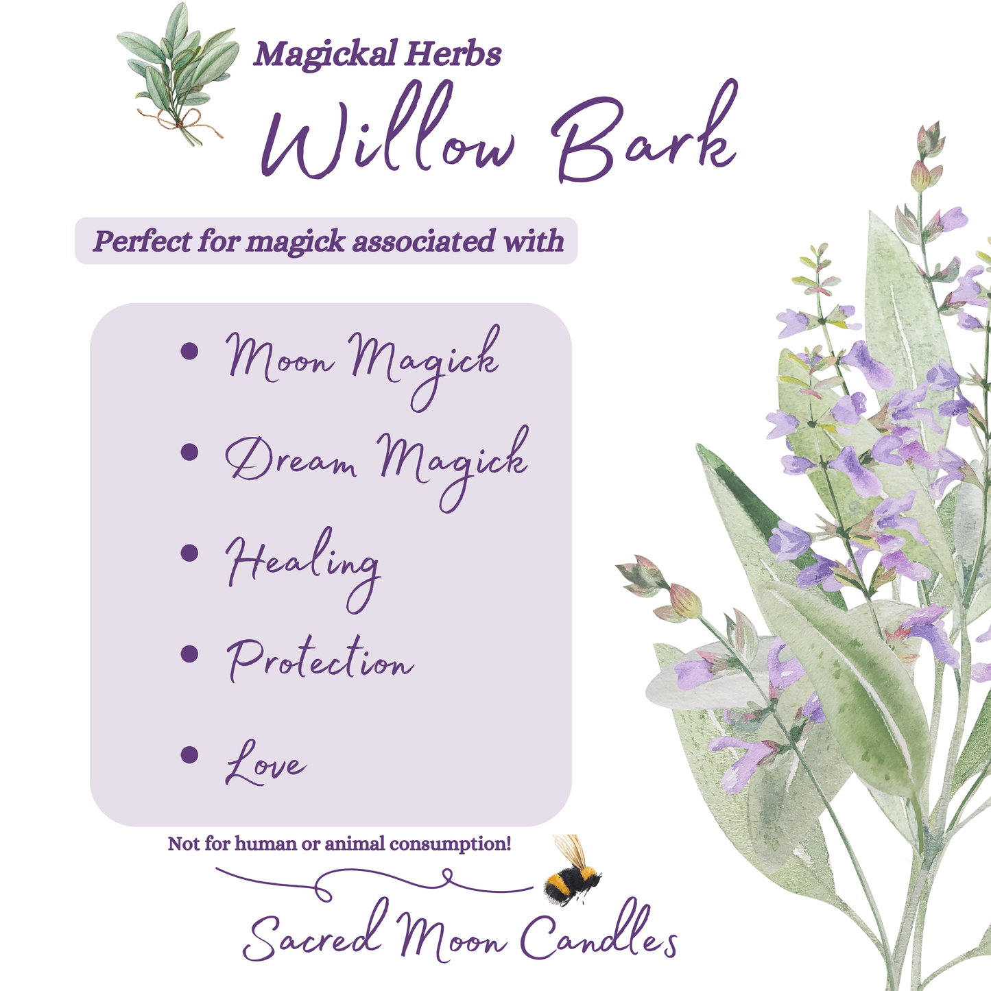 Willow Bark perfect for witchcraft moon magick and spiritual well-being