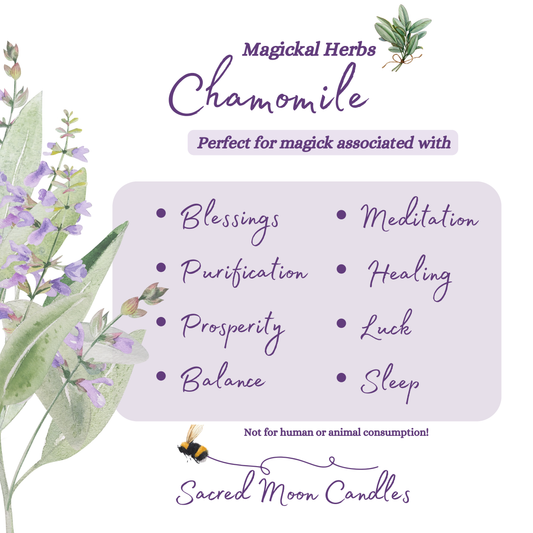 Chamomile perfect for witchcraft purification rituals and spiritual well-being supplies.