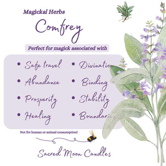 Comfrey perfect for witchcraft divination and spiritual well-being supplies.