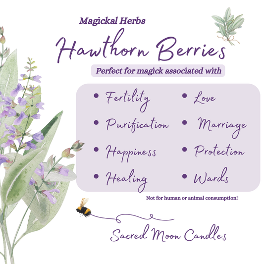 Hawthorne berries perfect for witchcraft fertility rituals and spiritual well-being supplies.