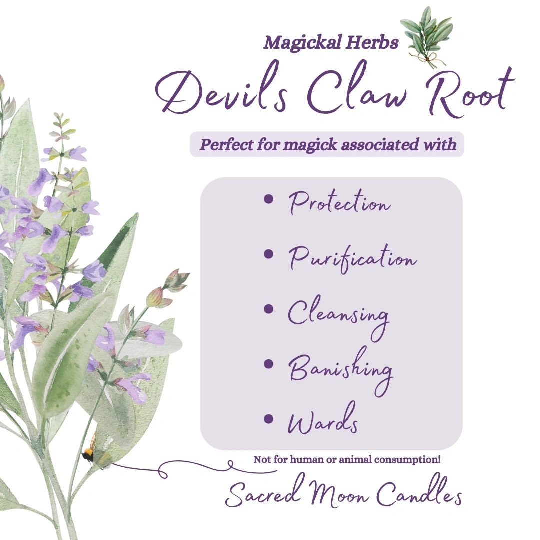 Devils Claw Root perfect for witchcraft protection and purification rituals.