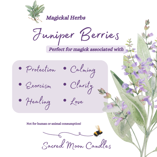 Juniper berries perfect for witchcraft calming rituals and spiritual well-being