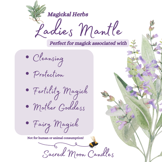 Ladies mantle perfect for fertility magick rituals and spiritual well-being
