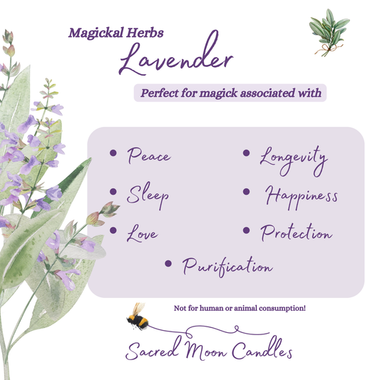 Lavender perfect for witchcraft happiness rituals and spiritual well-being