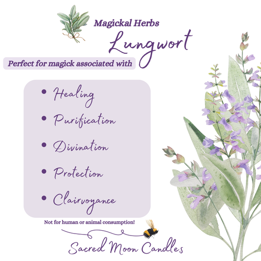 lungwort perfect for witchcraft purification rituals and spiritual well-being