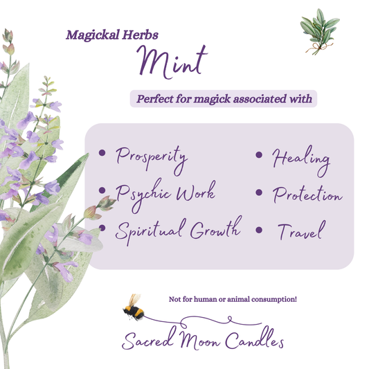 Mint perfect for witchcraft psychic work rituals and spiritual well-being