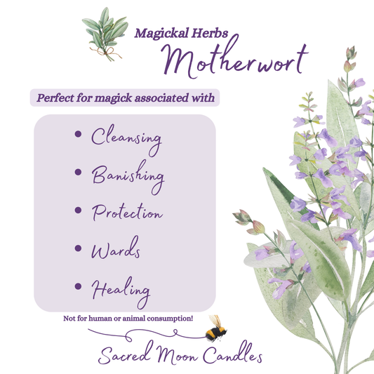 Motherwort perfect for witchcraft cleansing rituals and spiritual well-being
