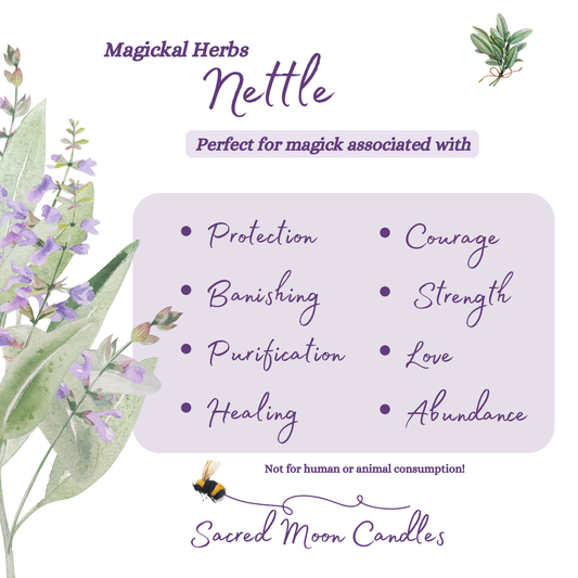 Nettle perfect for witchcraft abundance rituals and spiritual well-being