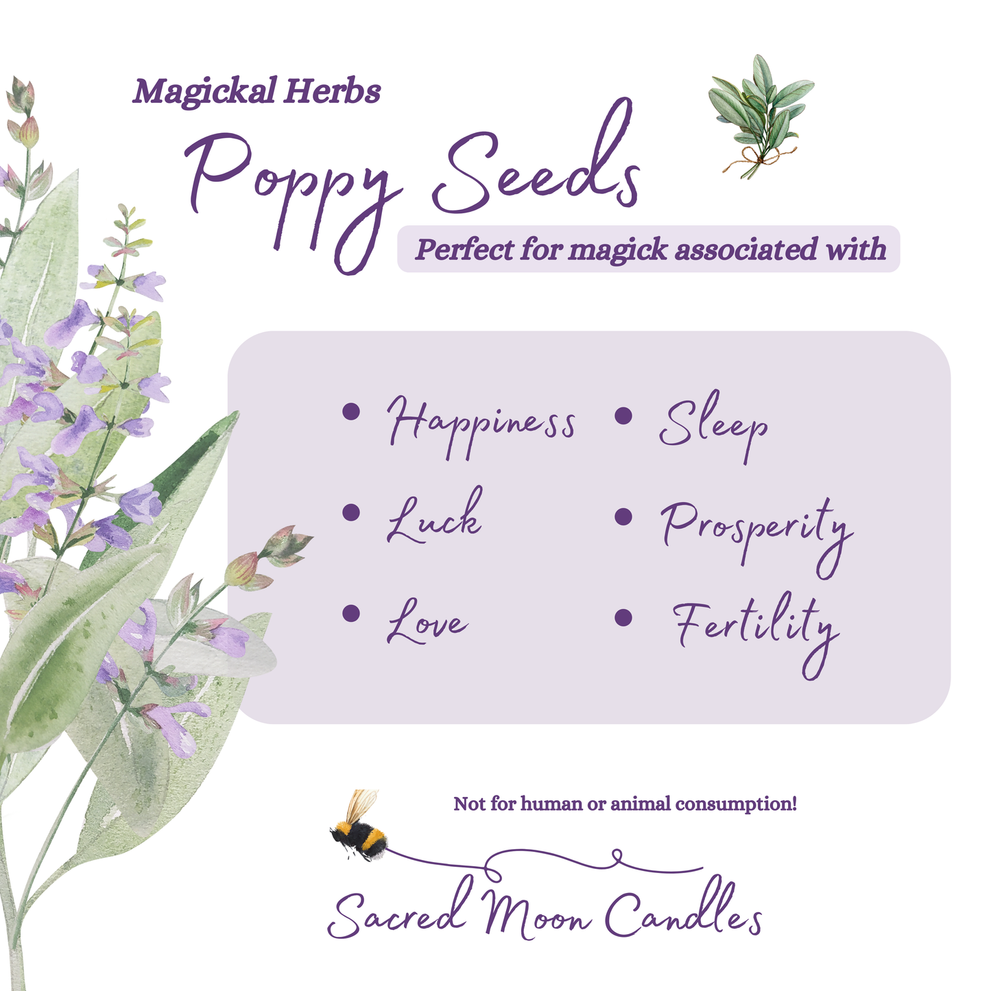 Poppy seeds perfect for witchcraft happiness ritual and spiritual well-being