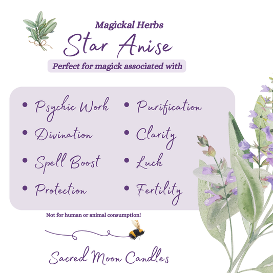 Star Anise perfect for witchcraft luck rituals and spiritual well-being