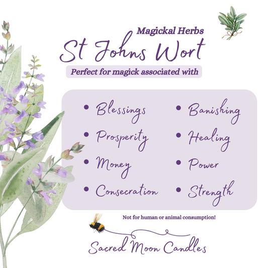 St Johns Wort perfect for witchcraft money rituals and spiritual well-being