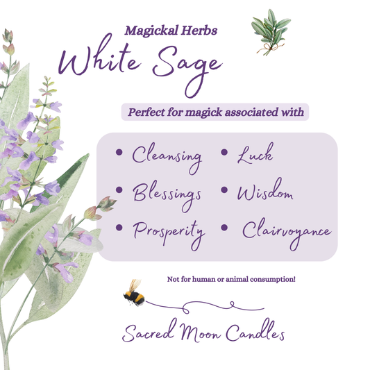 White Sage perfect for witchcraft luck rituals and spiritual well-being
