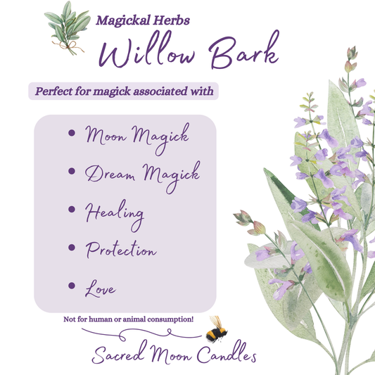 Willow Bark perfect for witchcraft moon magick and spiritual well-being
