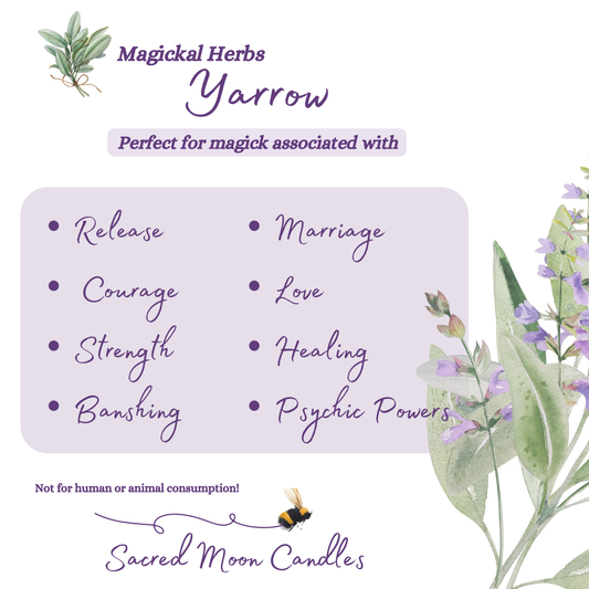 Yarrow perfect for witchcraft release rituals and spiritual well-being