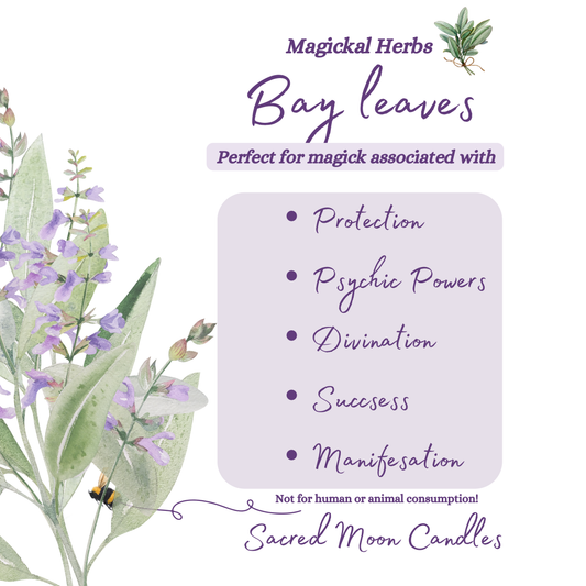 Bay leaves perfect for witchcraft protection rituals and spiritual well-being supplies