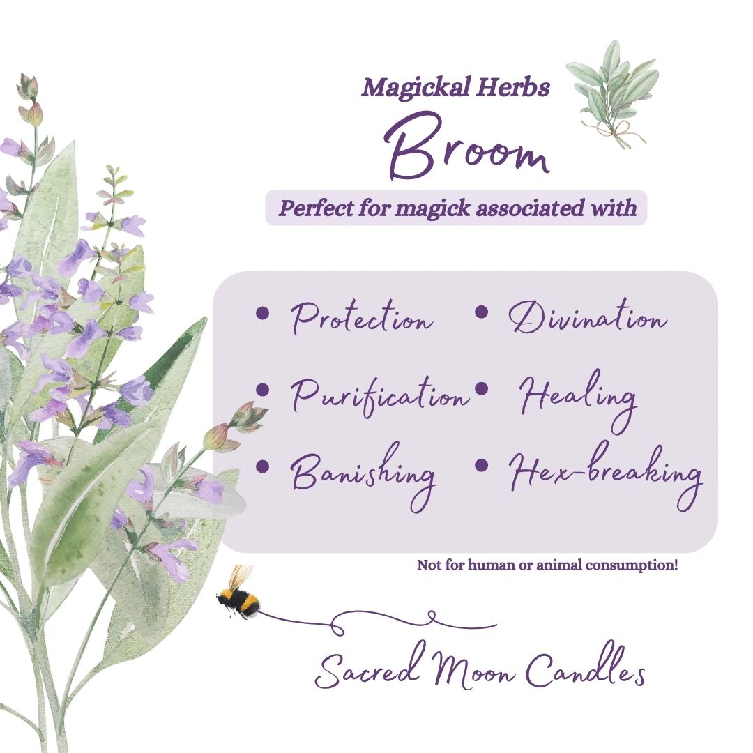 Broom Herb perfect for witchcraft divination rituals and spiritual well-being supplies.