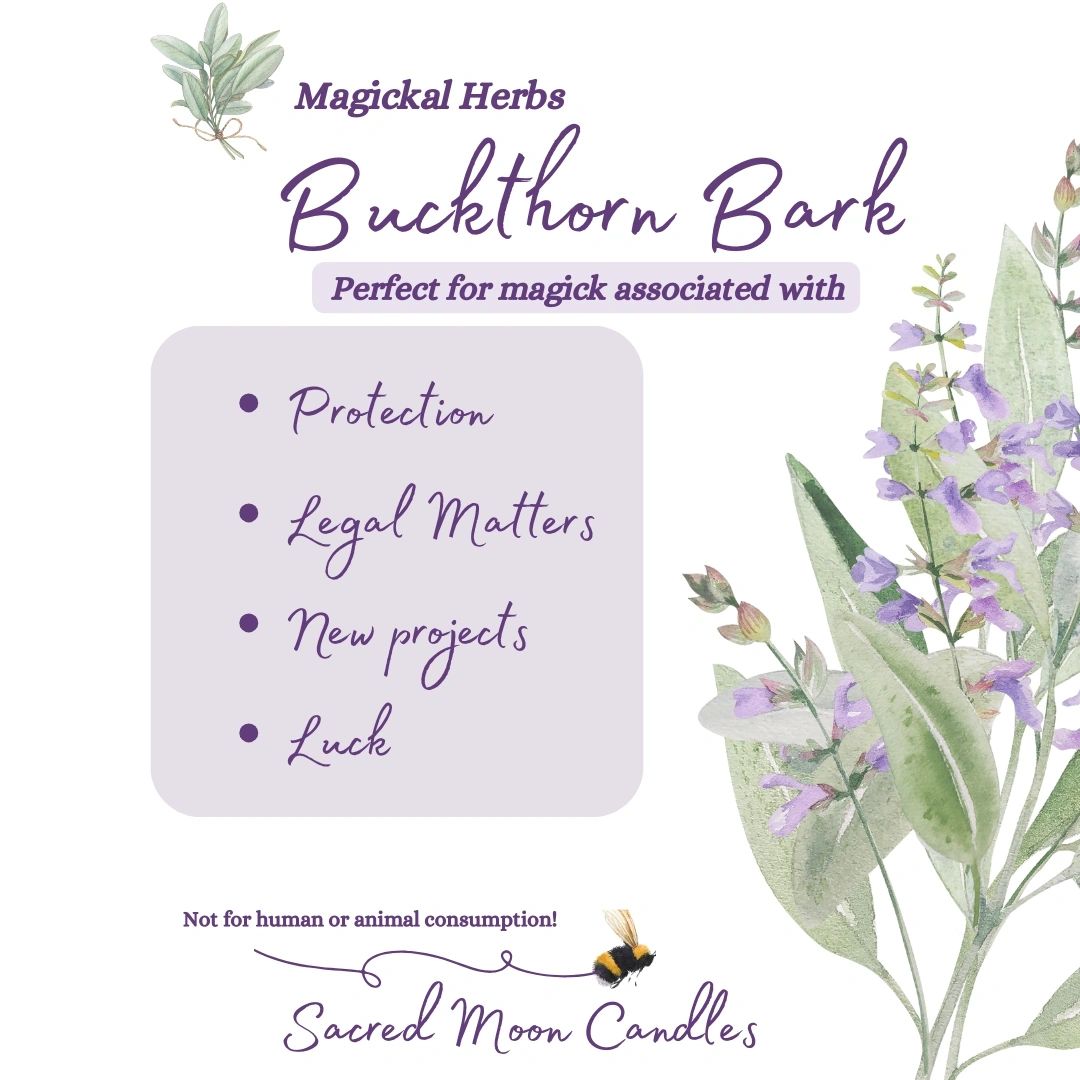 Buckthorn Bark perfect for witchcraft protection rituals and spiritual well-being supplies.