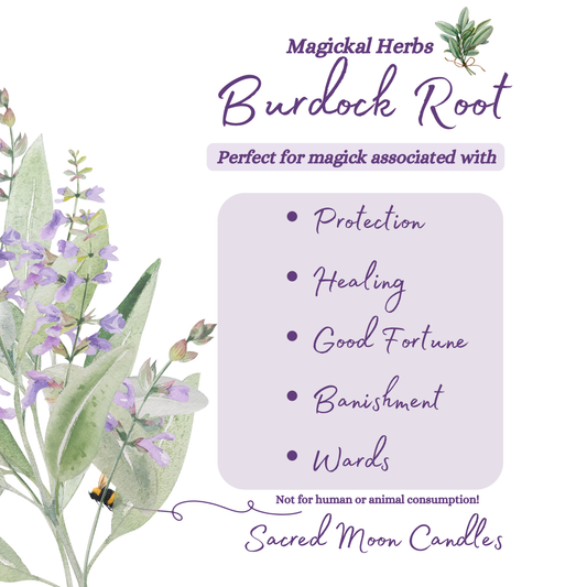 Burdock Root perfect for witchcraft healing rituals and spiritual well-being supplies.
