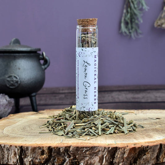 Lemon Grass perfect for witchcraft purification rituals and spiritual well-being supplies.