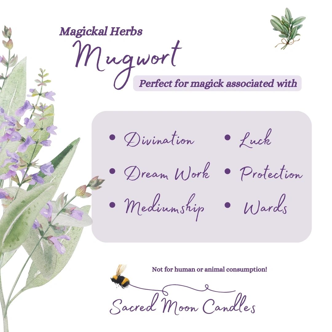 Mugwort Herb perfect for witchcraft divination rituals and spiritual well-being supplies.