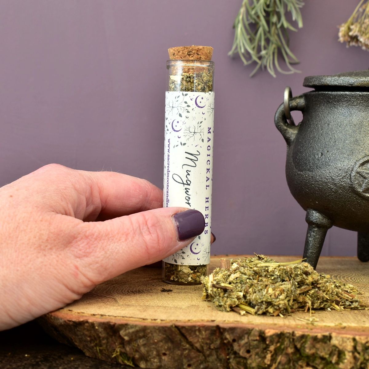 Mugwort Herb perfect for witchcraft divination rituals and spiritual well-being supplies.